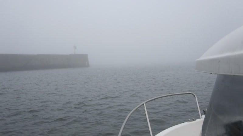 52d51488.jpg