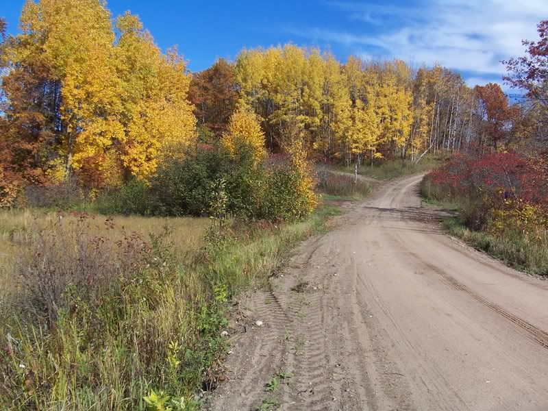 Fall Color in Rural MN