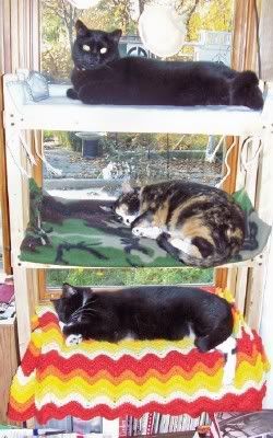 Cat Bunk Beds
