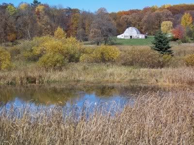 Fall in Todd County