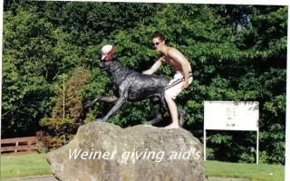 weiner1.jpg