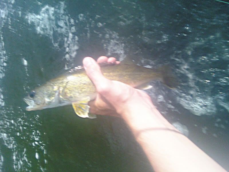 Trout? Who needs em!? Scioto River Report Ohio Game Fishing