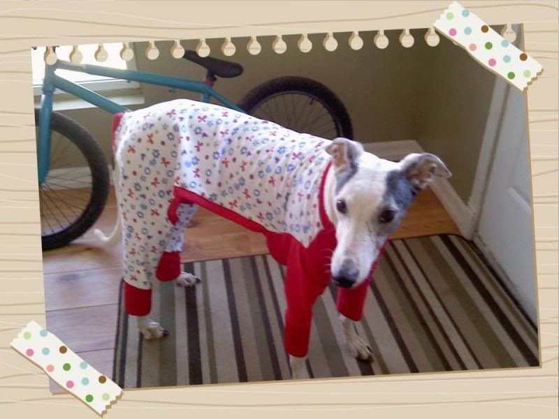 I am having a hard time uploading more than one photo  GRRRR.I make Pjs'  Sweater style, 2 legs and 4 legs and I'm hoping to get some boots made soon too.Here is a pair of 4 legged jersey ones