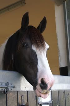 IMAGE: http://img.photobucket.com/albums/v312/KarlosFandango/nerner3.jpg