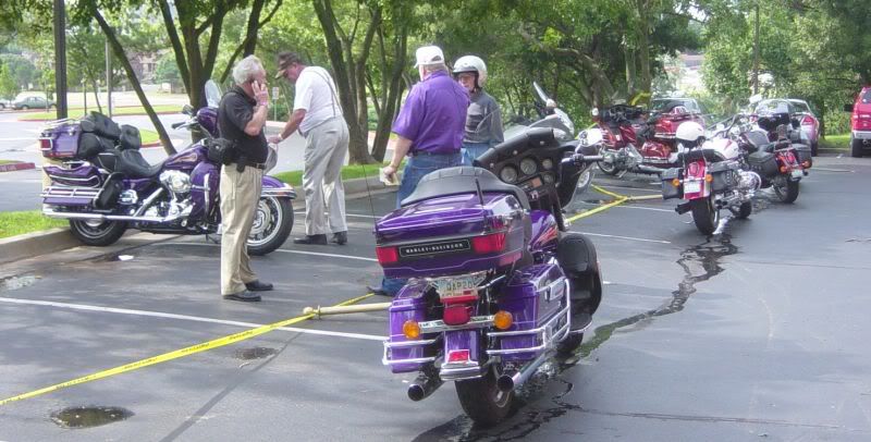 Some Purple bikes