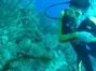 preview Rodney and Sea Horse in Roatan Honduras (2)