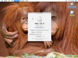 OSX8610.jpg