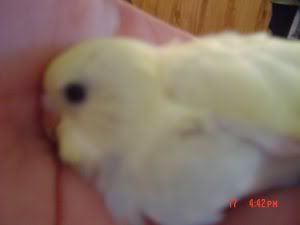 babycloseupagen.jpg