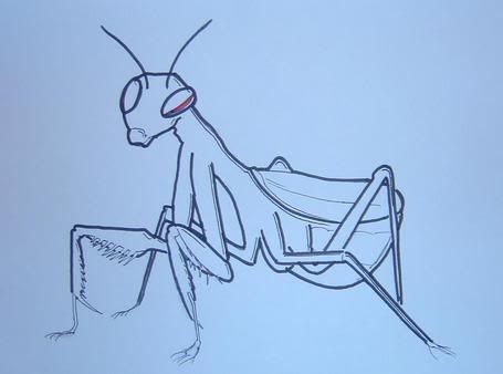 mantis.jpg
