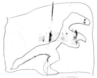 child's drawing of a dinosaur