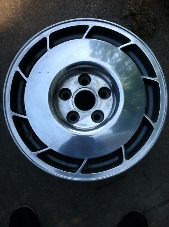 6 Corvette Salad Shooters VW Vortex Volkswagen Forum