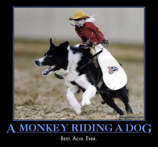 monkey-riding-dog-kingpin-inc.jpg