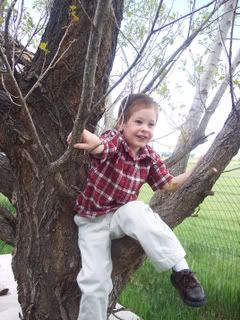Treed Keegan