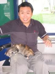 cute little kitty
