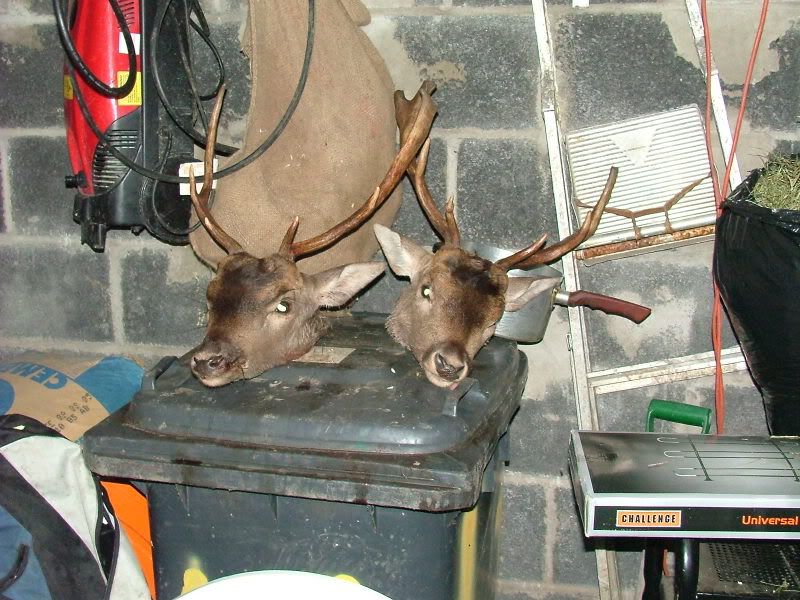 DSCF0429.jpg