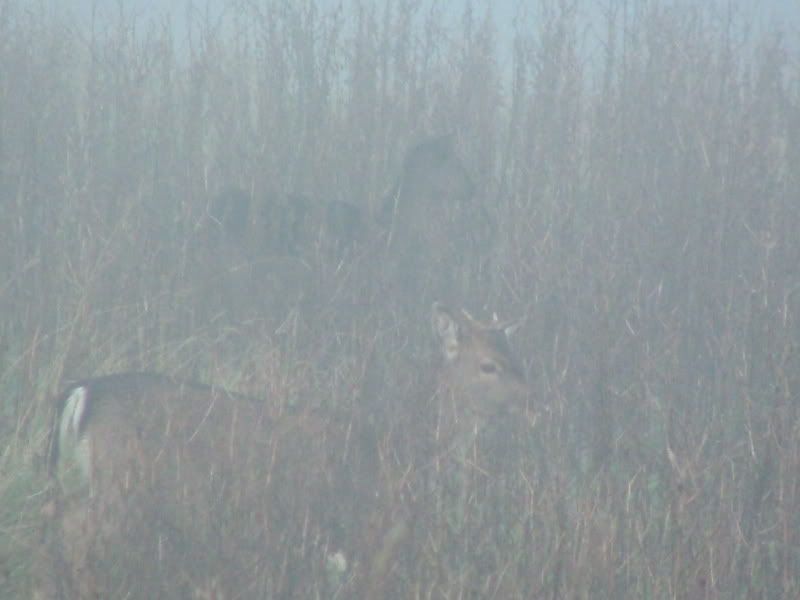 DSCF0446.jpg