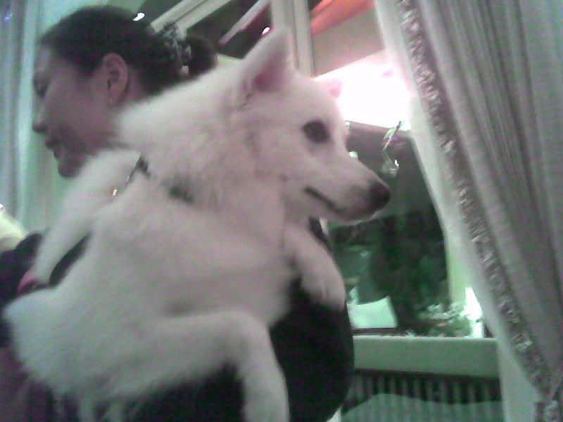 Photo Sharing and Video Hosting at Photobucket