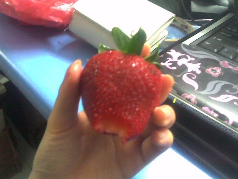 Photo Sharing and Video Hosting at Photobucket