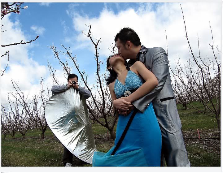 pre-wedding,photography,tasmania