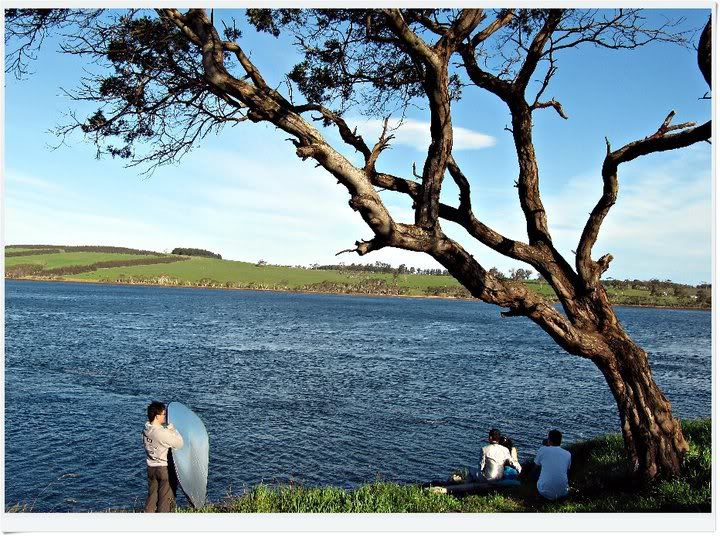 pre-wedding,photography,tasmania