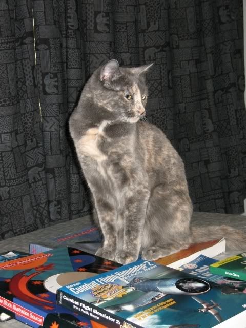 Photobucket - Video and Image Hosting