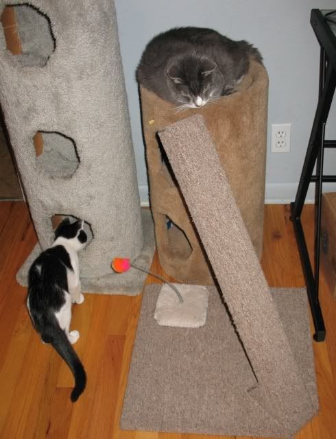 Photobucket - Video and Image Hosting