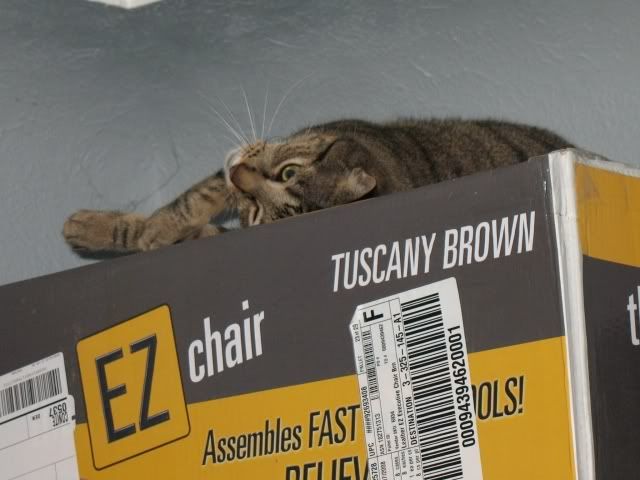 Photobucket - Video and Image Hosting