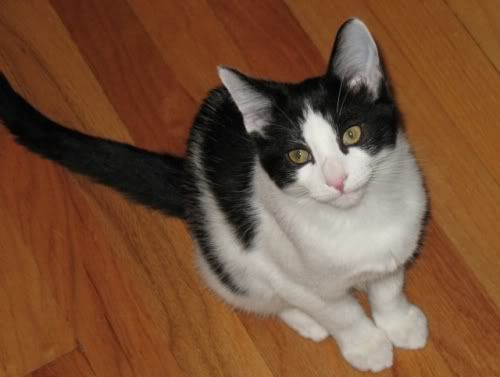 Photobucket - Video and Image Hosting