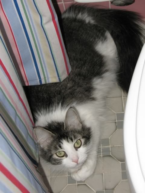 Photobucket - Video and Image Hosting