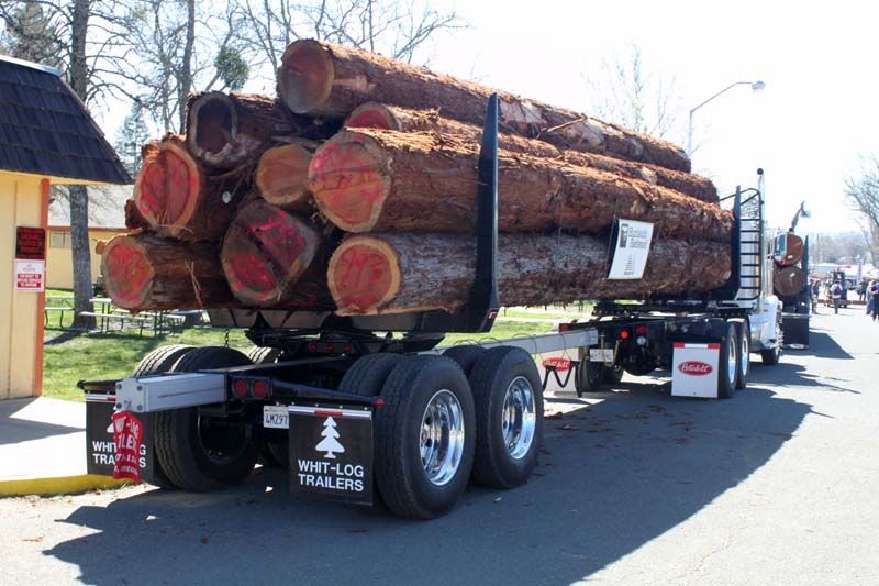 logs1_zpssxjbxlal.jpg