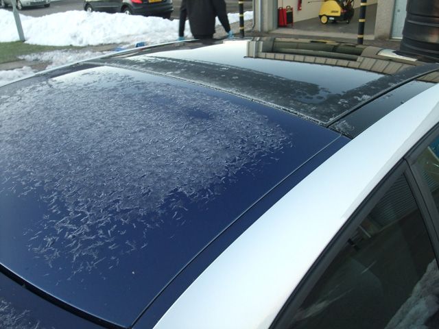 Audi004.jpg