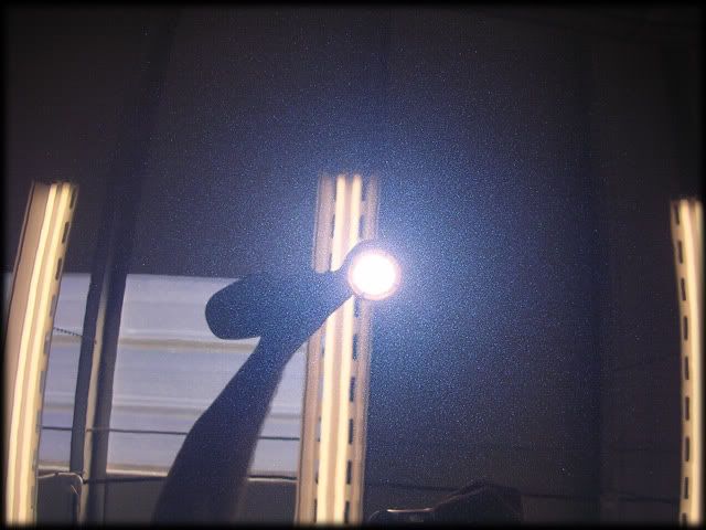 C10.jpg
