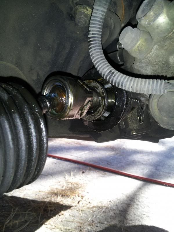  photo 20130601_170630_zpsd3ebd869.jpg