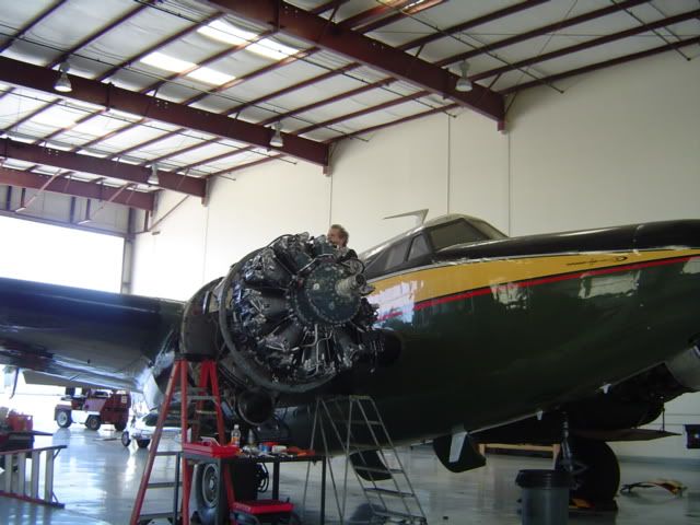 http://img.photobucket.com/albums/v317/ZRX61/Warbirds/7-2-09015.jpg