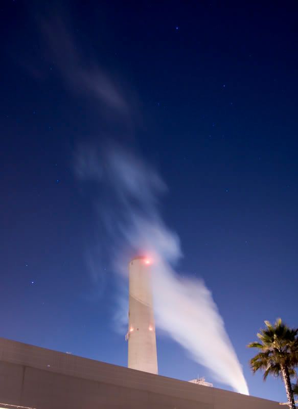 IMAGE: http://img.photobucket.com/albums/v317/bdpAKAknox/CopyofNIGHTPLANT1015_1.jpg