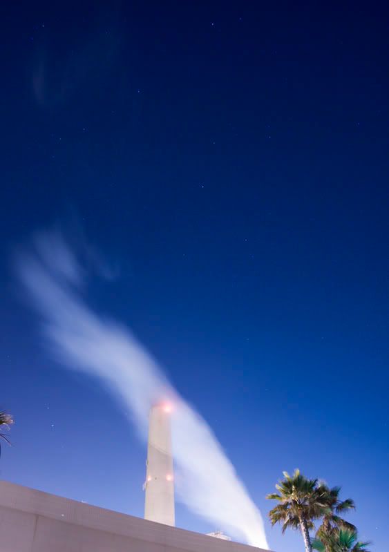 IMAGE: http://img.photobucket.com/albums/v317/bdpAKAknox/CopyofNIGHTPLANT1016_1.jpg