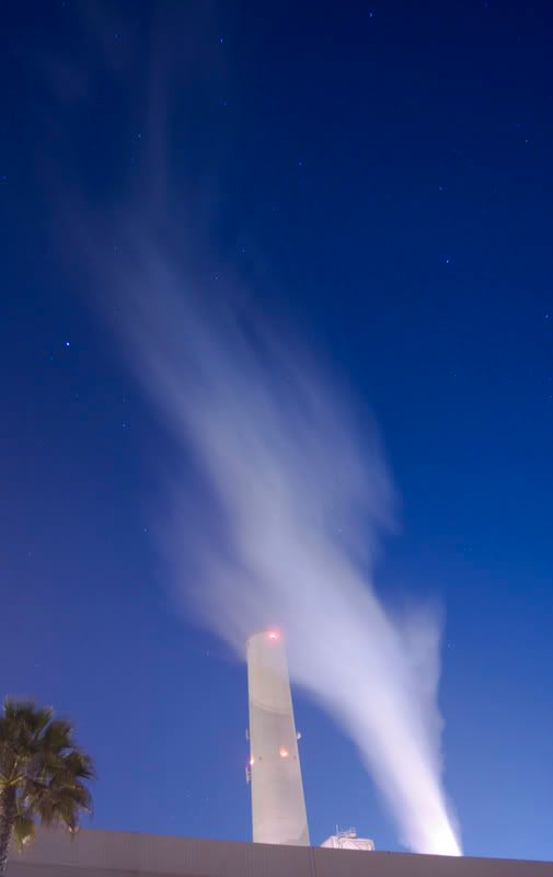 IMAGE: http://img.photobucket.com/albums/v317/bdpAKAknox/CopyofNIGHTPLANT1020_1.jpg