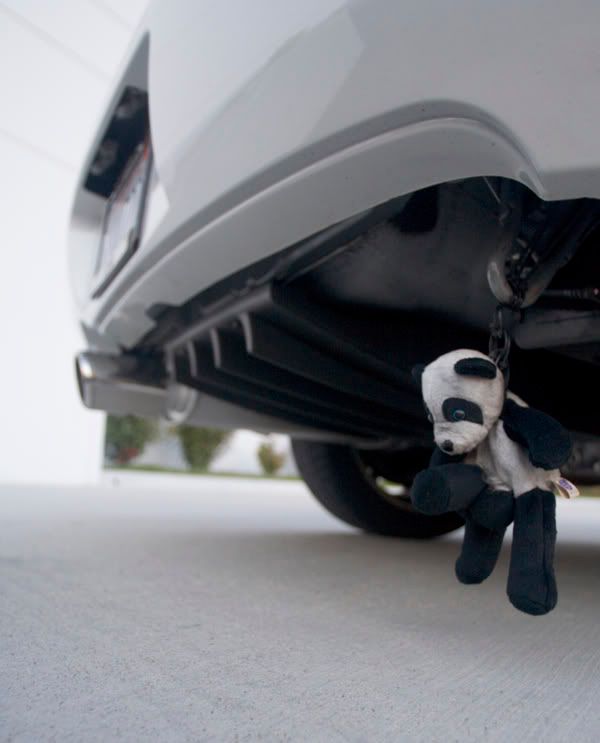 IMAGE: http://img.photobucket.com/albums/v317/bdpAKAknox/CopyofnightJuly4th031_1.jpg