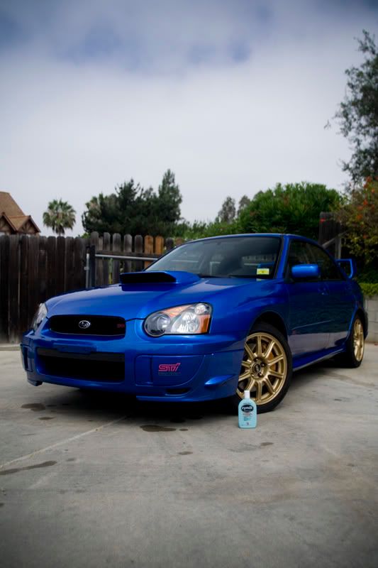 IMAGE: http://img.photobucket.com/albums/v317/bdpAKAknox/shiny1004_1.jpg