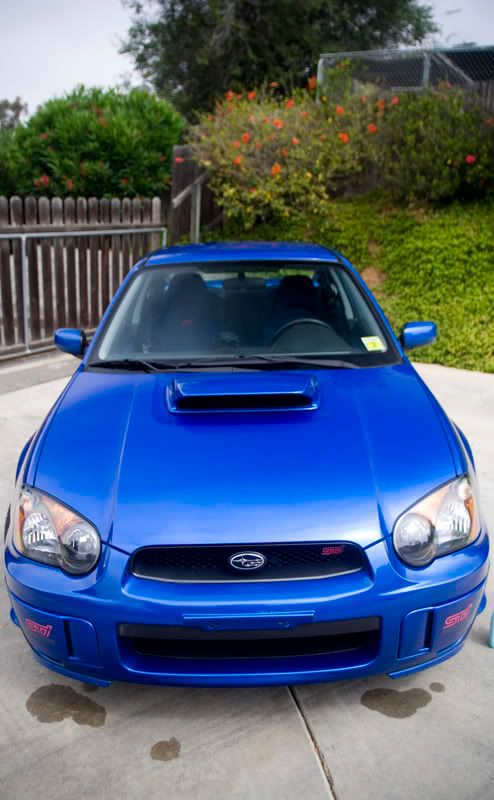 IMAGE: http://img.photobucket.com/albums/v317/bdpAKAknox/shiny1009_1.jpg