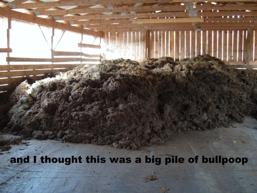 68cfd4e5-d904-4b46-8521-4bd22c2bd22c_zps