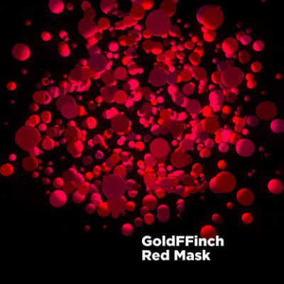 GoldFFinch-NMBRS18-416px.jpg
