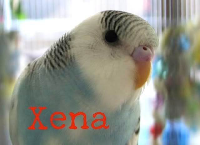 Xena.jpg