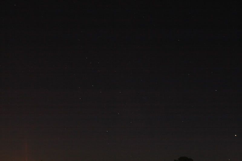 IMAGE: http://img.photobucket.com/albums/v317/waylandcool/Forum%20Pics/_MG_2129AConvert.jpg