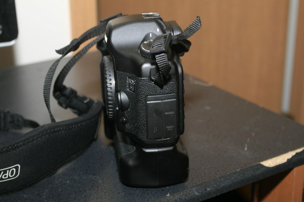 IMAGE: http://img.photobucket.com/albums/v317/waylandcool/_MG_6860_zpsuxmvke33.jpg