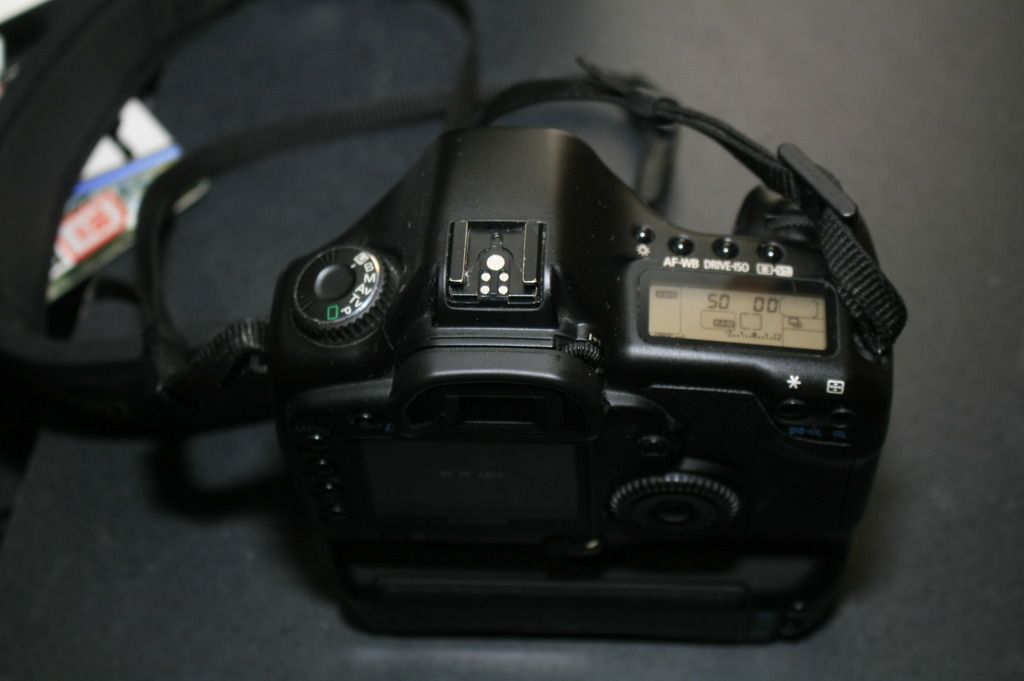 IMAGE: http://img.photobucket.com/albums/v317/waylandcool/_MG_6861_zpslxoypl6c.jpg