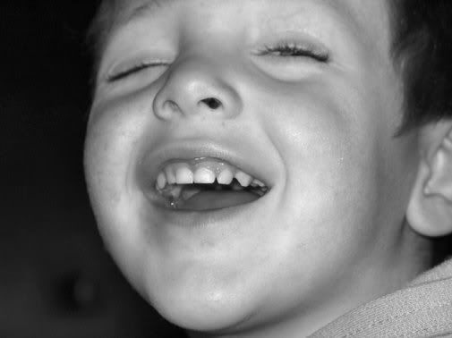 IMAGE: http://img.photobucket.com/albums/v318/crissyk81/purelaughter.jpg