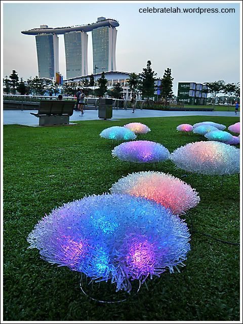 iLight Coral Garden