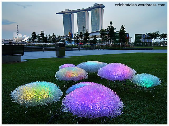 iLight Coral Garden