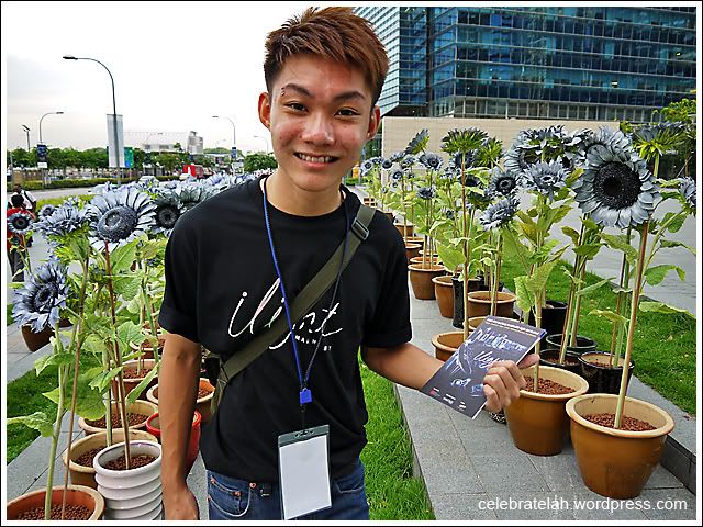 iLight Student Helpers
